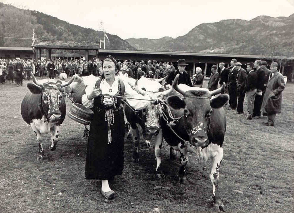 image001